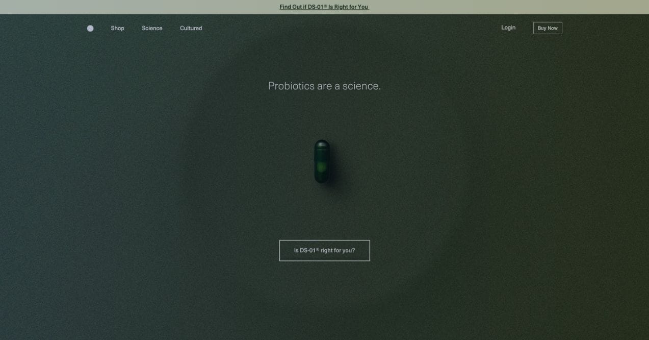 A screenshot of Seed homepage