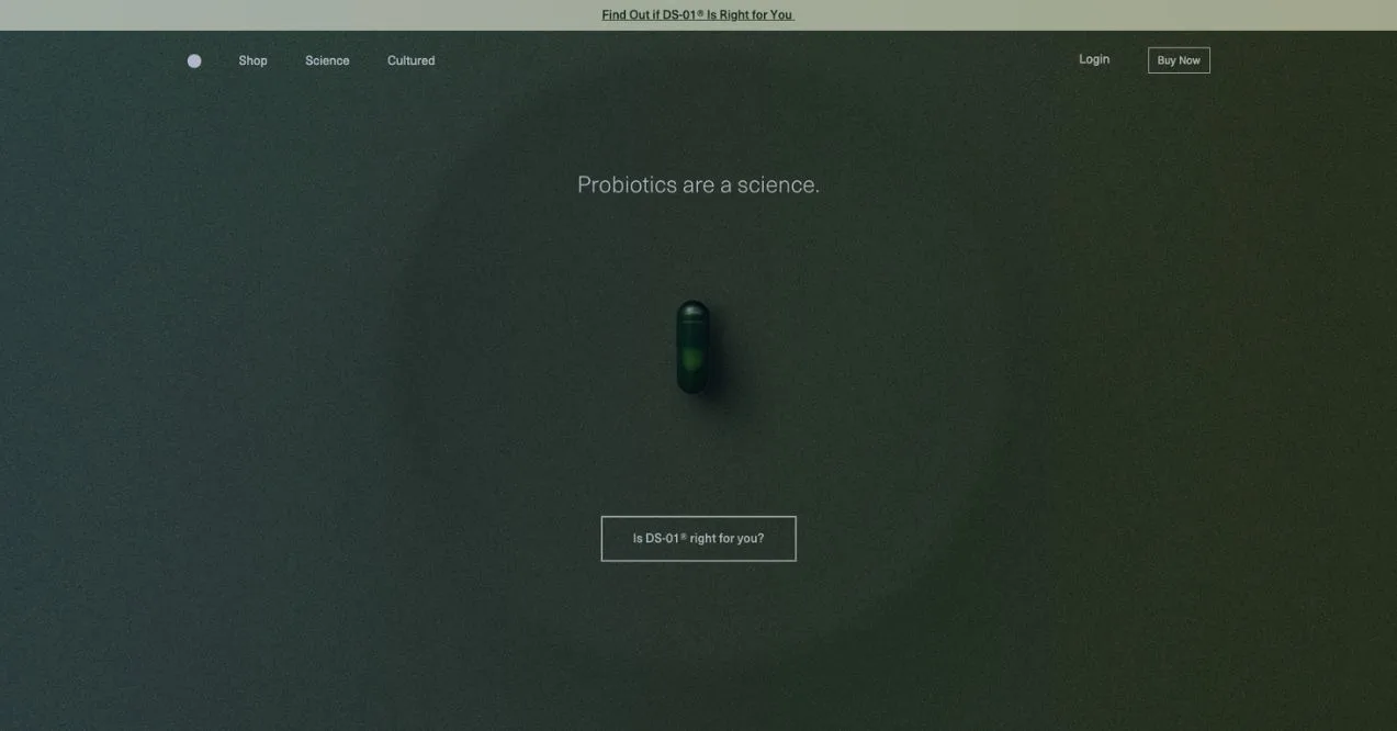 A screenshot of Seed homepage